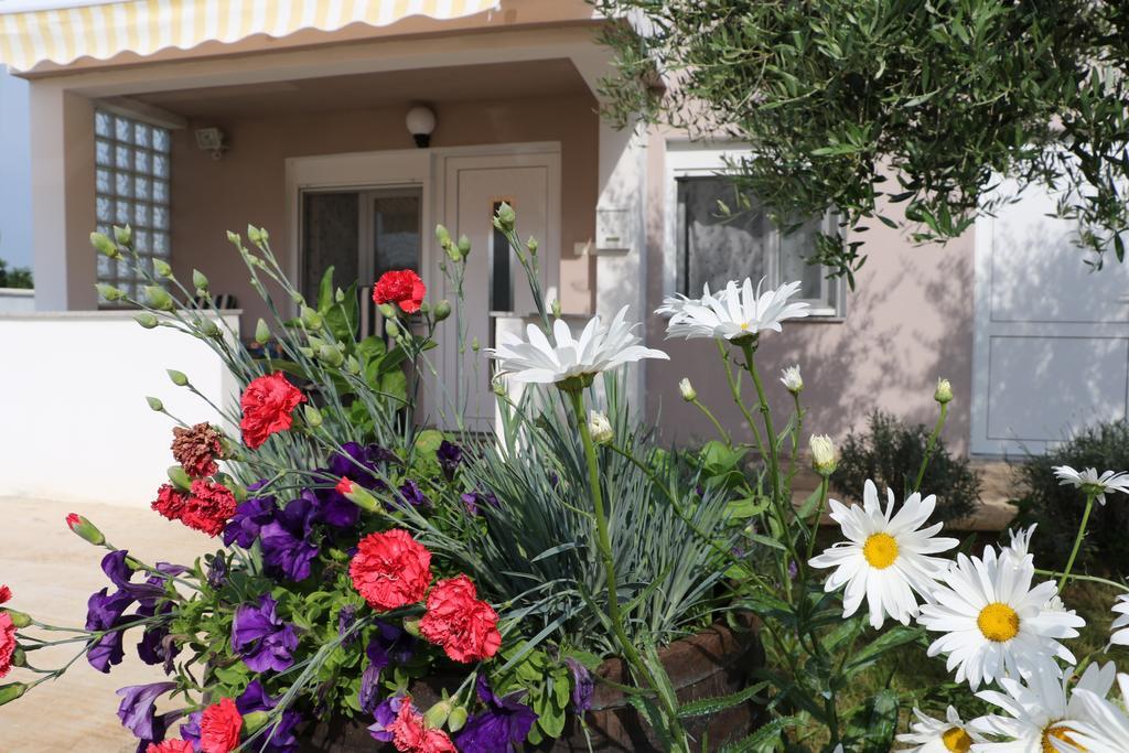 Apartments Zaton Draga エクステリア 写真