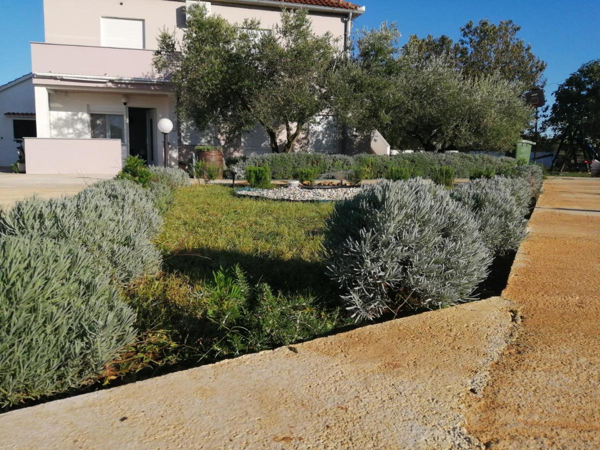 Apartments Zaton Draga エクステリア 写真